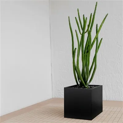 Ghiveci de flori din oțel inoxidabil Jardinier de grădină din metal